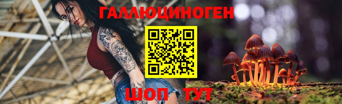 Галлюциногенные грибы GOLDEN TEACHER  Псилоцибиновые грибы Psilocybine cubensis  Россия  Вход с VPN 